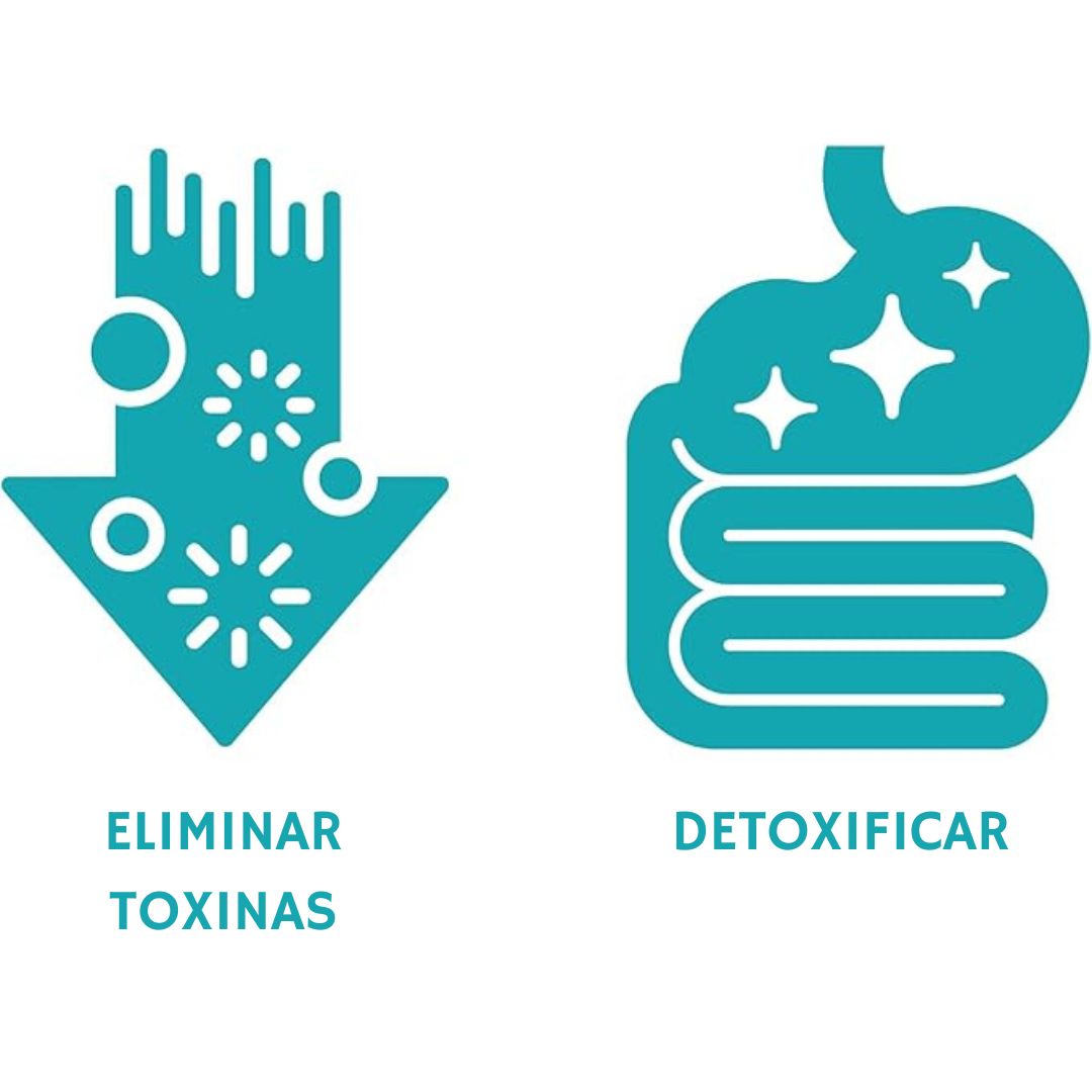 no MILA MIAMOR®️ - 15 DAYS CLEANSE - Desintoxicación avanzada de limpieza para mujeres y hombres