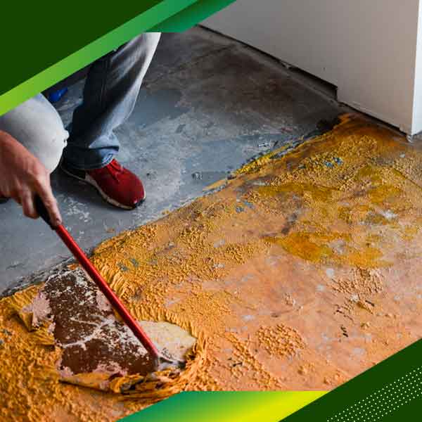 Removedor De Pintura